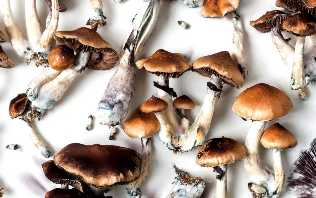 Pro Tips on Buying Magic Mushroom & Psilocybin Spores