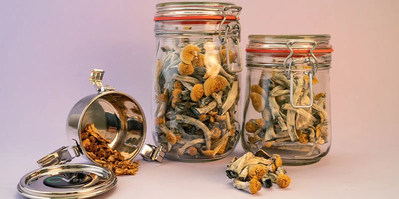 Shelf Life of Shrooms: How to Store Magic Mushrooms